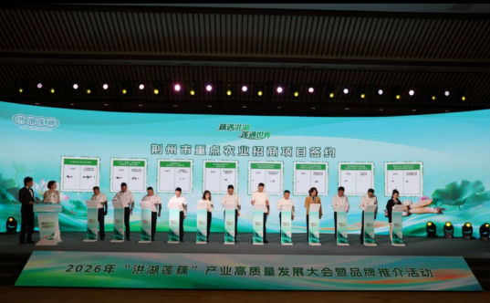 258.61亿!洪湖莲藕拿下全国水生蔬菜“头把交椅”,海底捞都为它开锅了